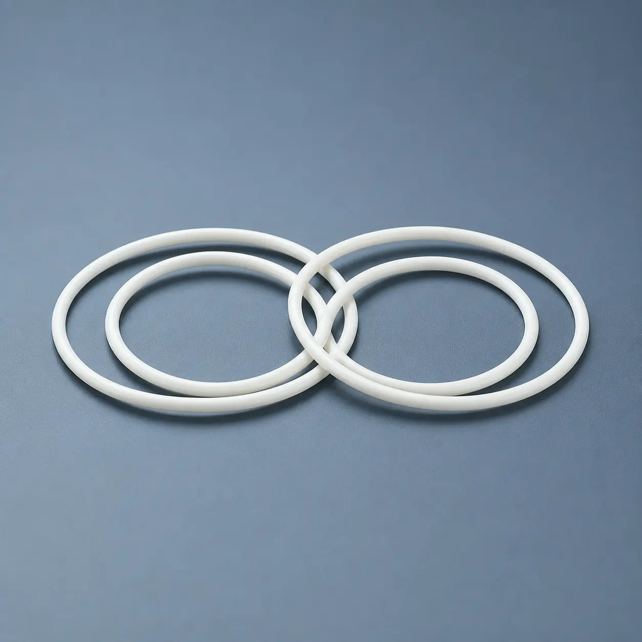 Glass Filled PTFE Gasket