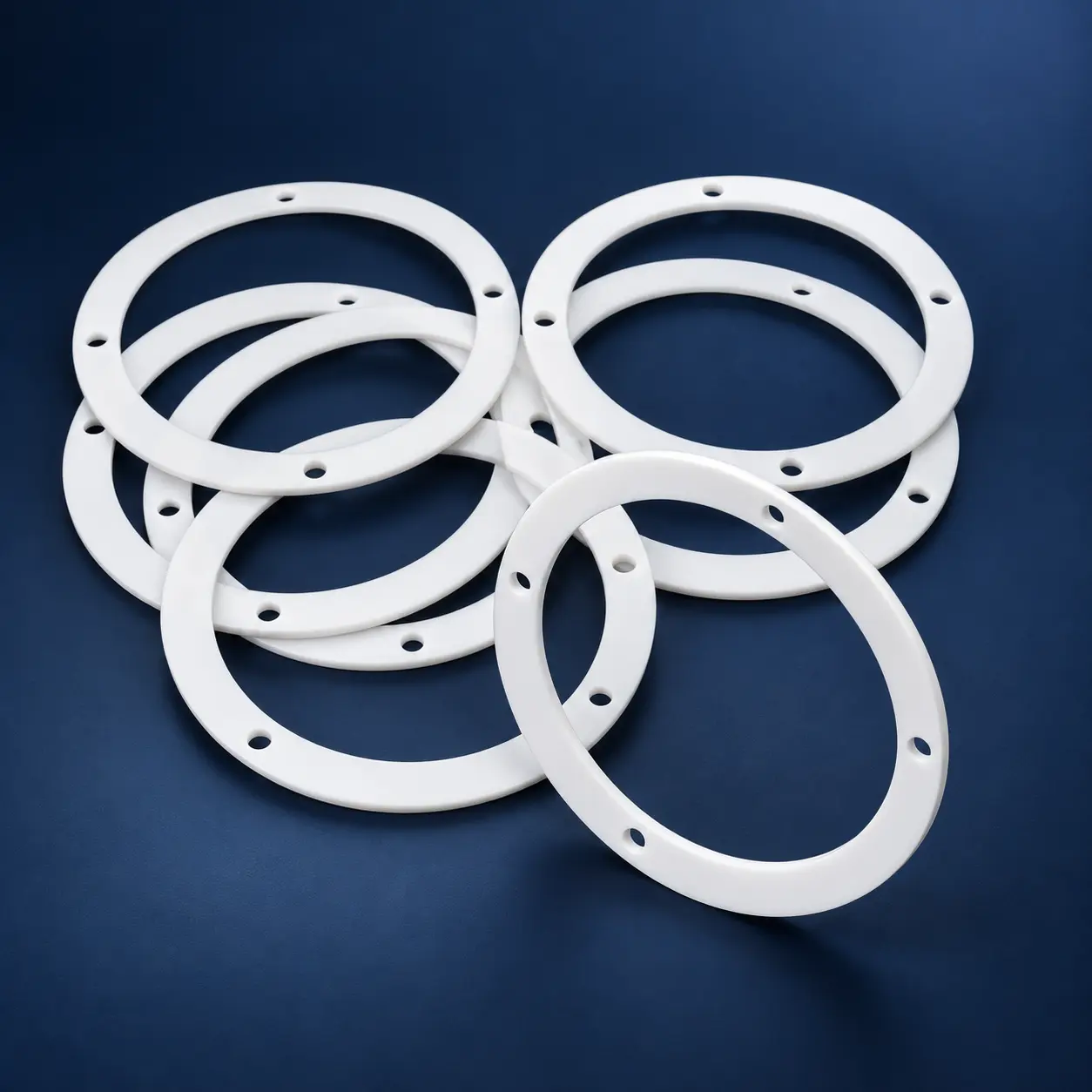 PTFE Flange Gasket