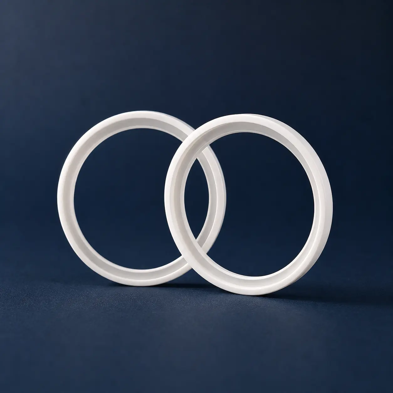 PTFE O-Rings