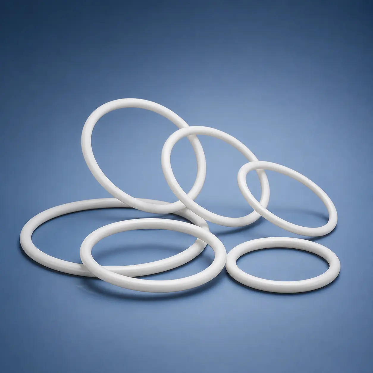 PTFE Sanitary Gaskets