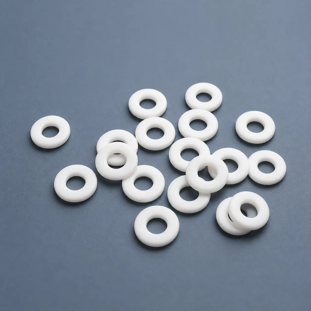 PTFE Flat Gaskets