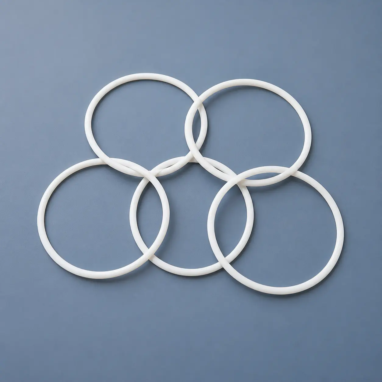 PTFE O-Ring Seals