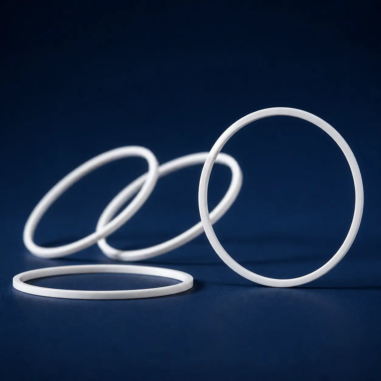 PTFE Oil Seals