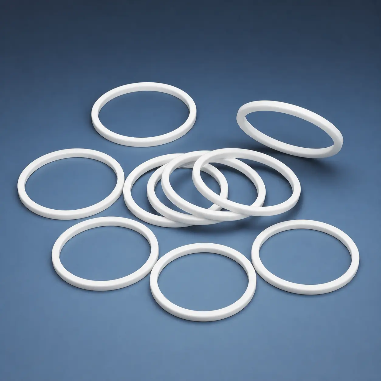 PTFE Piston Seals