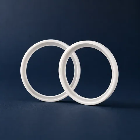 PTFE O-Rings