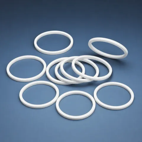 PTFE Piston Seals