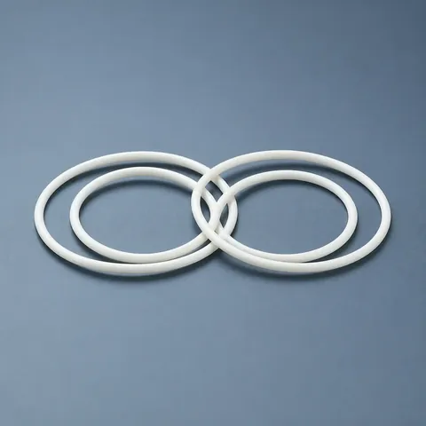 Glass Filled PTFE Gasket