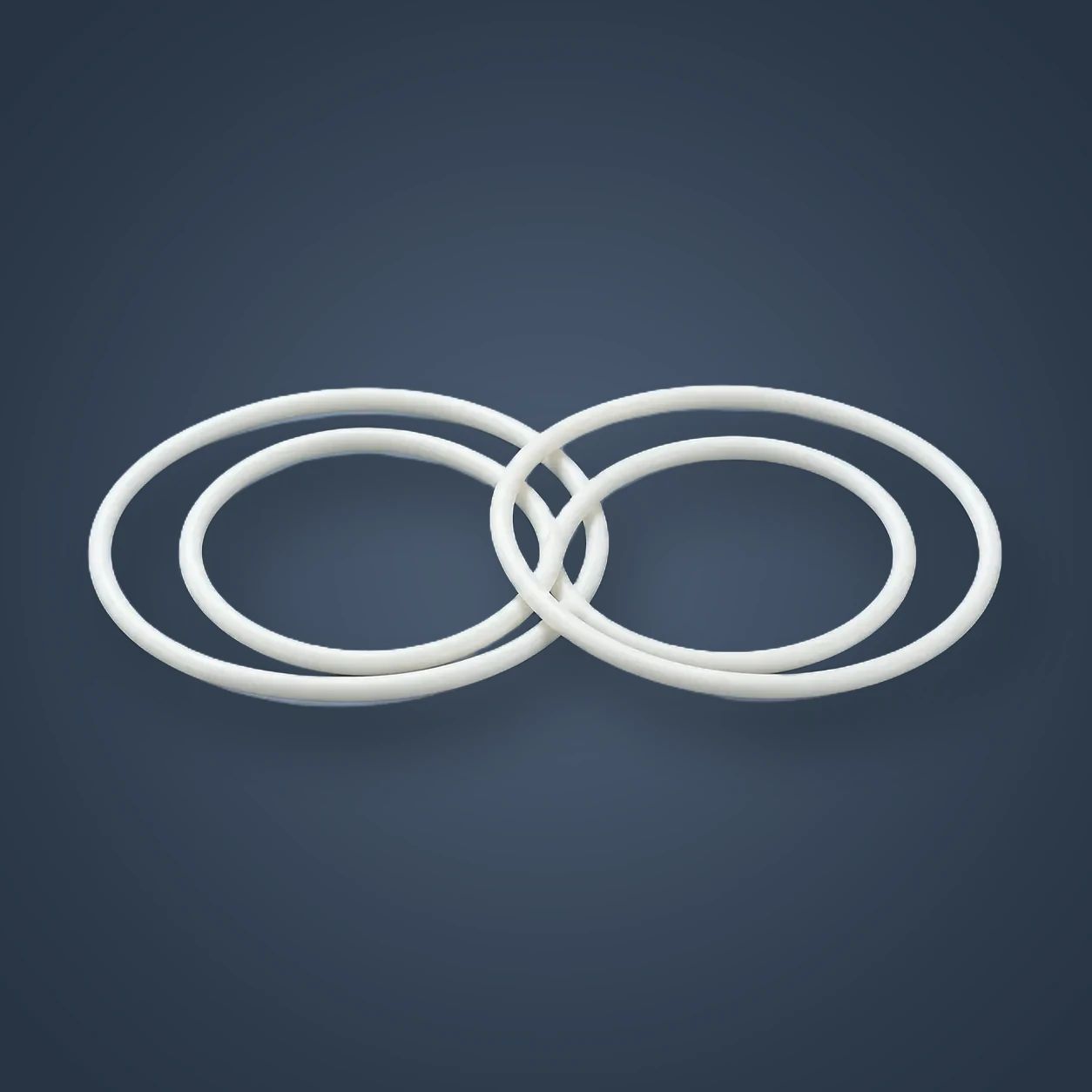 Glass Filled PTFE Gasket