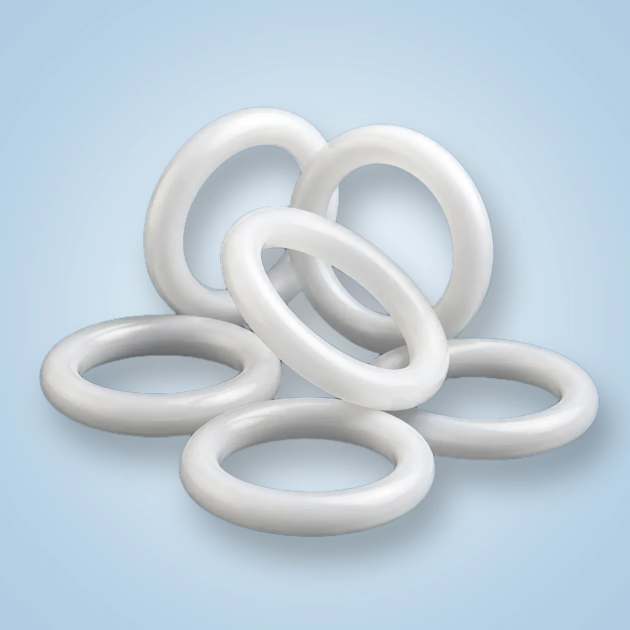 PTFE Encapsulated O-Rings