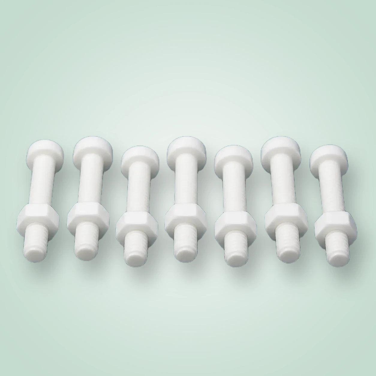 PTFE Fasteners