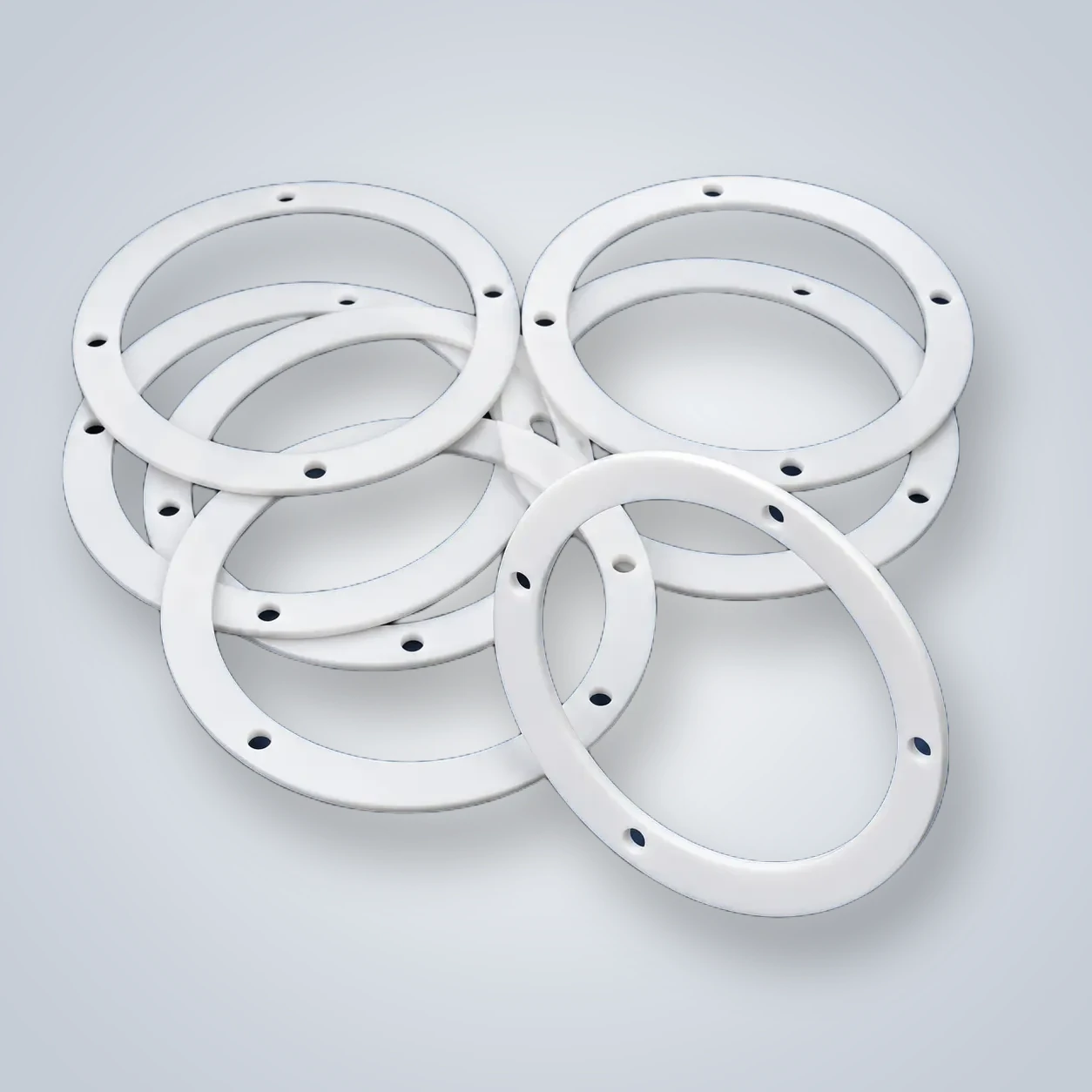 PTFE Flange Gasket