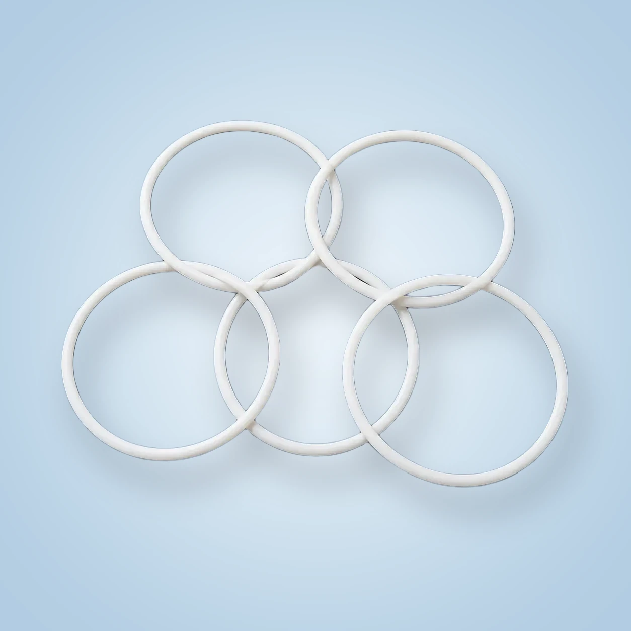 PTFE O-Ring Seals