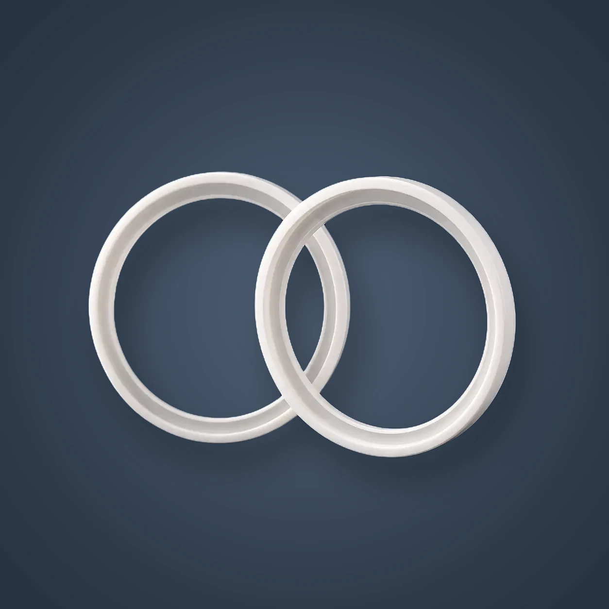 PTFE O-Rings