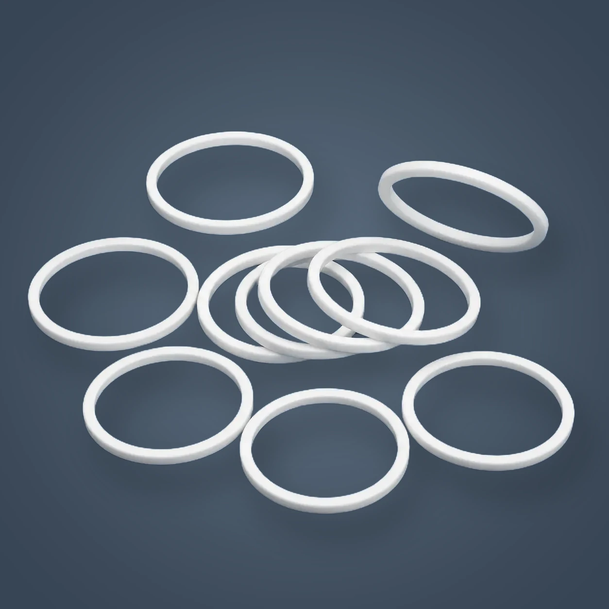 PTFE Piston Seals