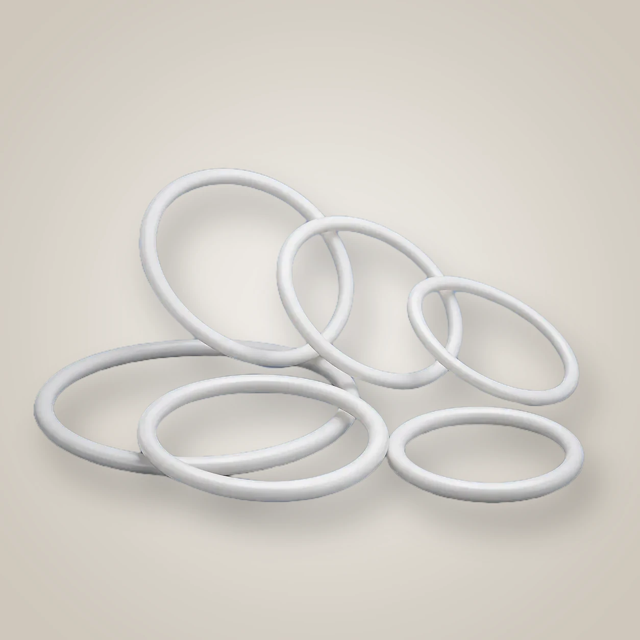 PTFE Sanitary Gaskets