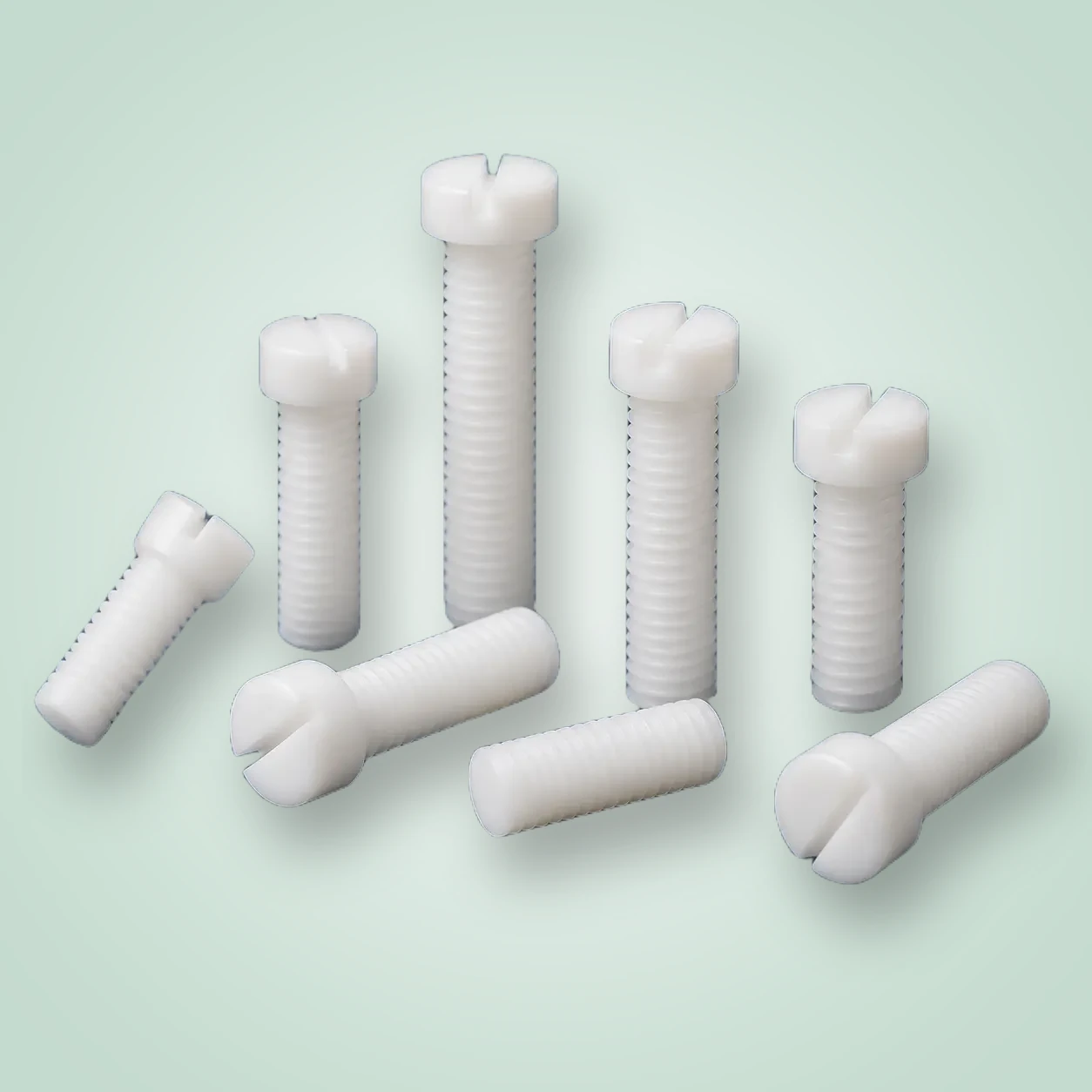 PTFE Screws