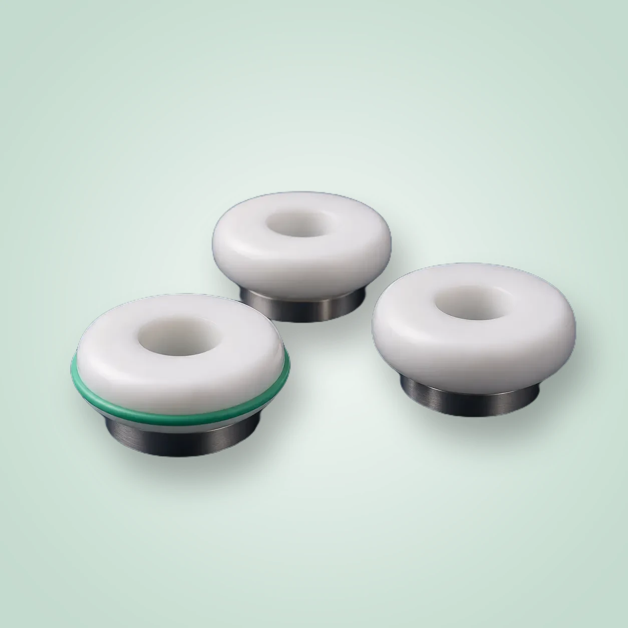 PTFE Valve Seat
