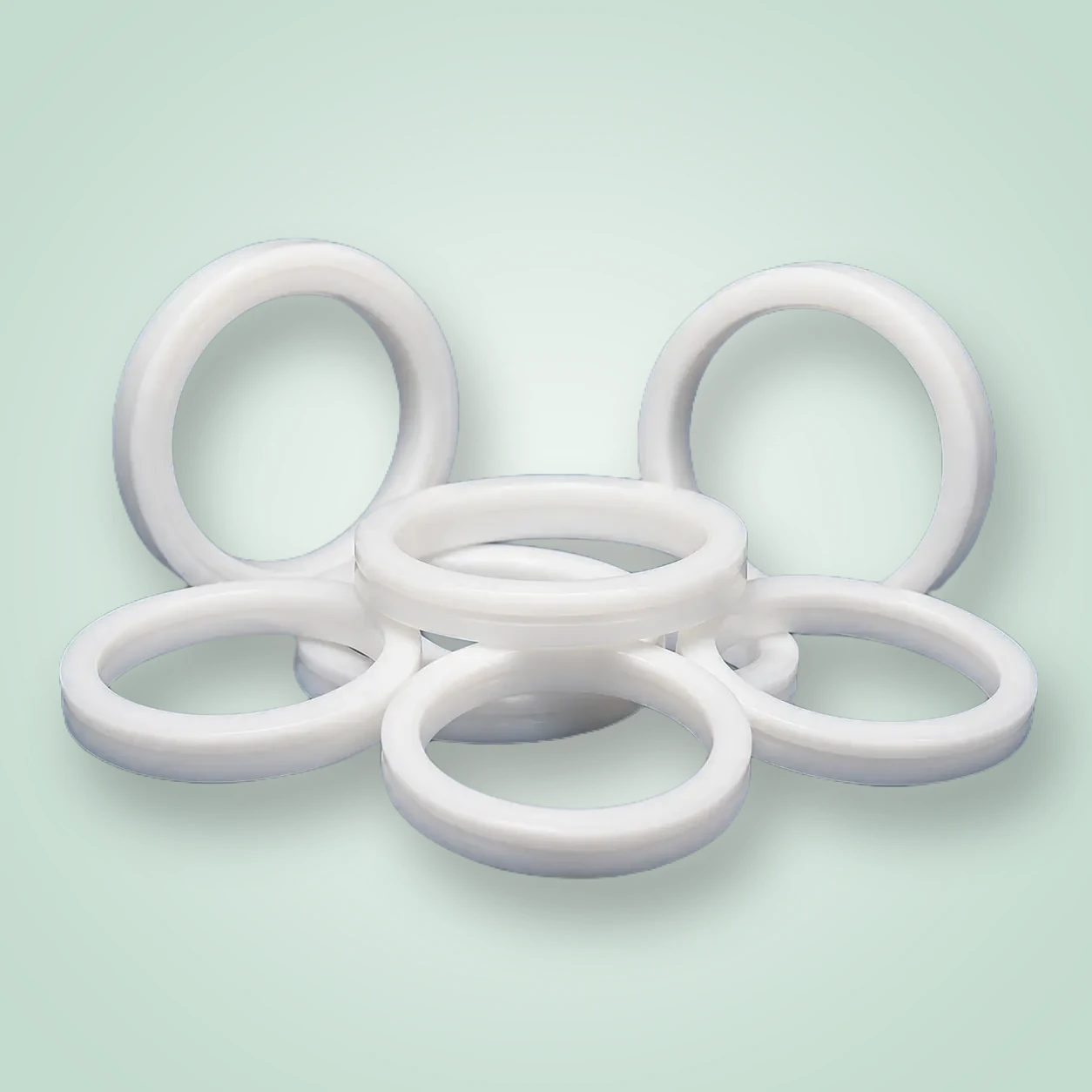 PTFE Wiper Seals