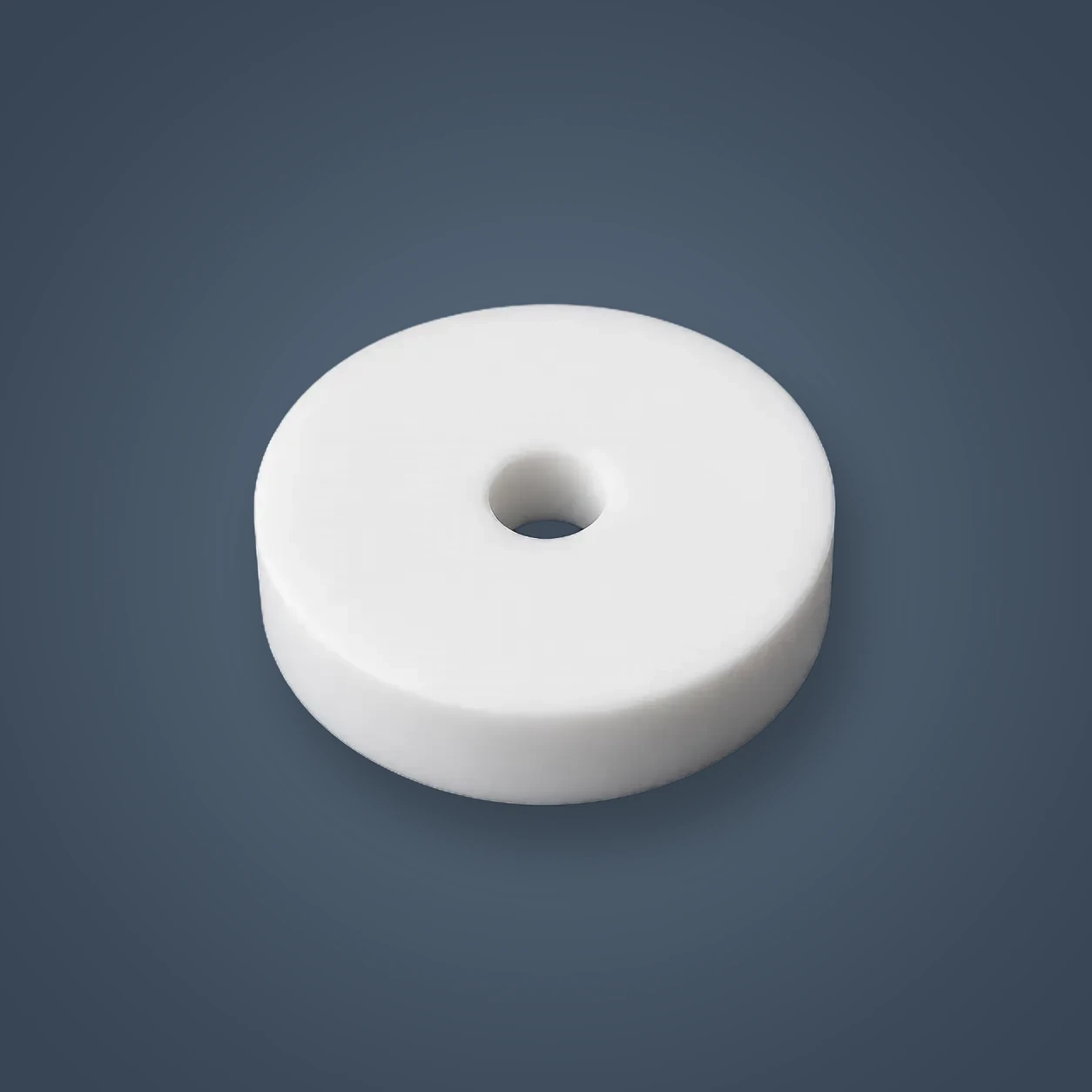 Virgin PTFE Gasket